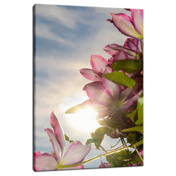 Towering Clematis Floral Nature Photography Canvas Wall Art Print, 12" X 16"