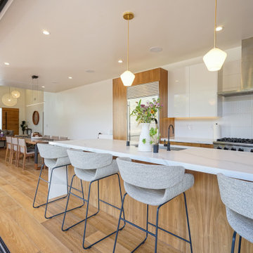 Modern Complete Home Remodel - Marina Del Rey