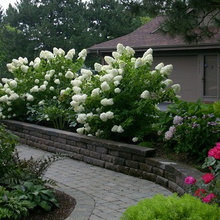 garden ideas for Mary's