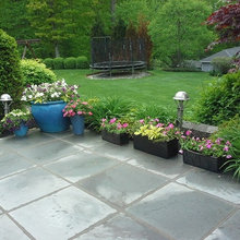 Potted Plants