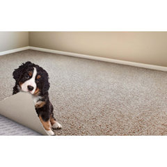 Residential Carpet Service