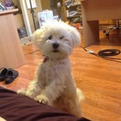 Jacob Zhao's photo