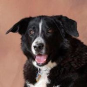 Beth Quinn's photo