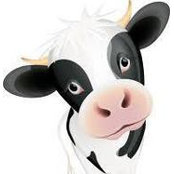 Granny Moo's photo