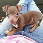 Ellen Kraft's photo
