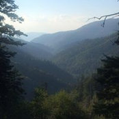 Kamran Fatemi's photo