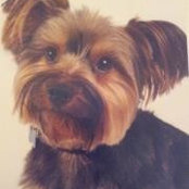 Sharon Cozzens's photo