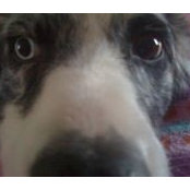 Lauri Lackey's photo