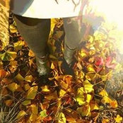 Kelly Dodd's photo