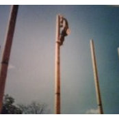 James Todd's photo
