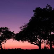 Rodrigo Caceres's photo