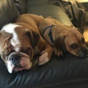 Shannon Heim's photo
