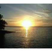 Mario Torres Torres's photo