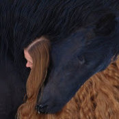 Diana Persell's photo