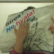 Ana Preglav's photo