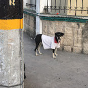 mark burnett's photo