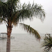Bill Pribyl's photo