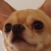 Karen Kettering's photo