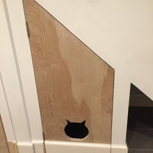 cat litter