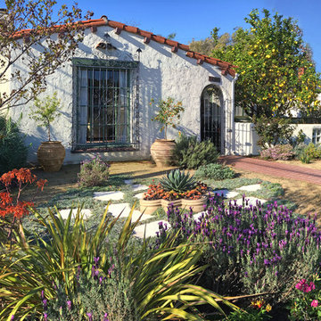 Vivacious Mediterranean Front Yard