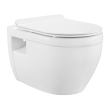 wall mount toilets