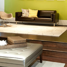 Basement Living Room