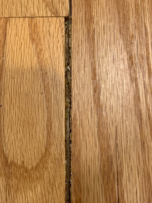 How To Repair Broken Floor Boards Viewfloor.co