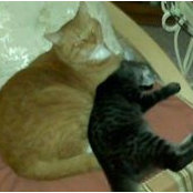 Marilyn Lowery's photo
