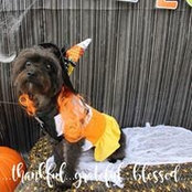 Elizabeth Bobbitt's photo