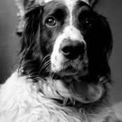 Steve Emery's photo