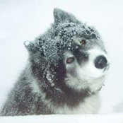 Debbie Reaume's photo