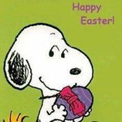 Sherry Elmer's photo