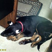 Elaine DeFreitas's photo