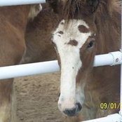 Bernice Ketsenburg's photo