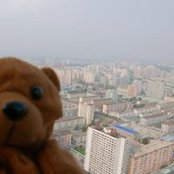 Miko Bearskis billede