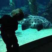 Jesicah Grossman's photo
