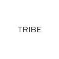 Tribe Studio Architectsさんのプロフィール写真