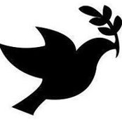 Matthew Allan's photo