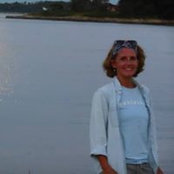 Monique Roy Whitcomb's photo