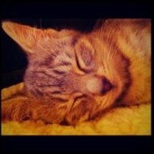 Catherine McNally's photo