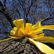 Foto von Kathleen Watkins
