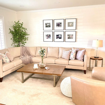 A & D Living Room re-design