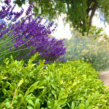 Family Garden Renovation, Orange NSW