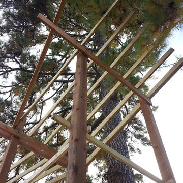 Dunn Treehouse