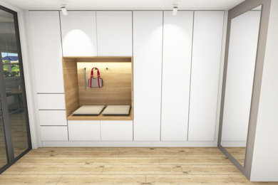 Design ideas for a contemporary wardrobe in Frankfurt.