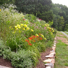 Ednam Landscaping