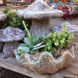 Succulent arrangements - Products