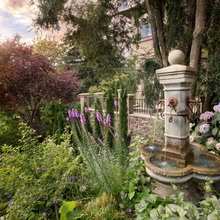 Patio, Back