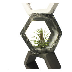 Concrete Air Plant Holder - Products