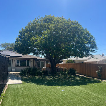 Tree Care